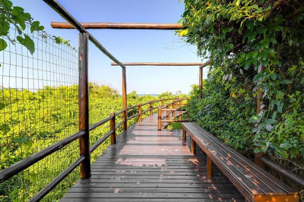 Apartamento Costao Das Gaivotas - Praia Do Santinho - Ingleses - Florianopolis Bagian luar foto
